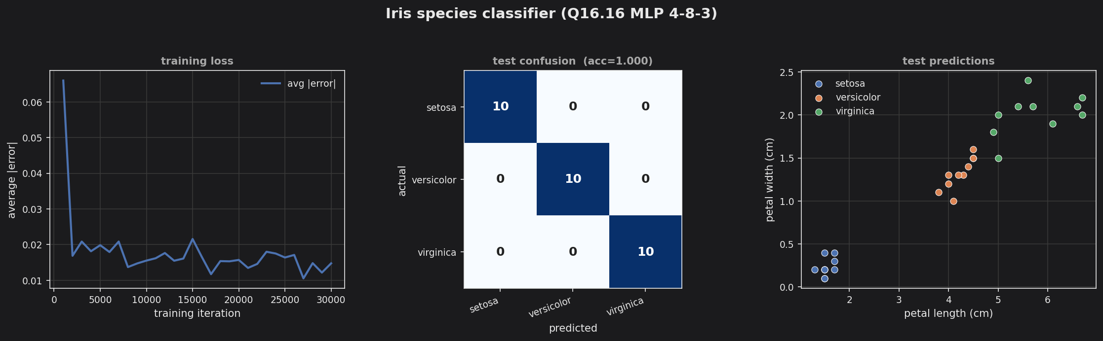 Iris training loss, test confusion matrix, and petal scatter